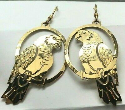 Framed African Grey Parrot — Earrings