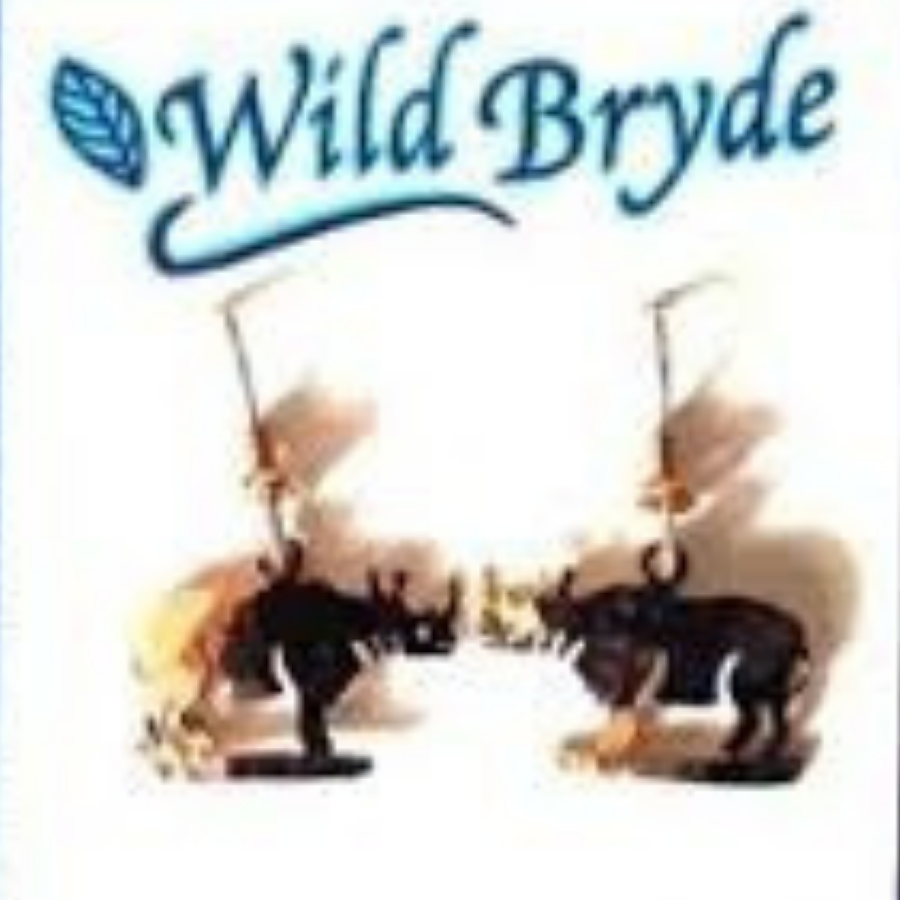 Wild Bryde Rhino Earrings Full-Body, Whimsical, Species Photo - Unofficial Wild Bryde Collector's Guide