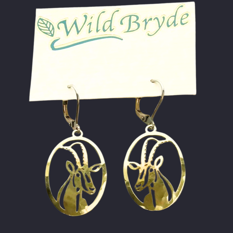 Oryx in Oval Frame — Earrings