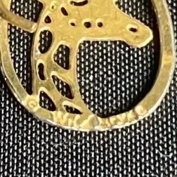 Wild Bryde Giraffe Earrings, Posts Framed, Face Only, Species Photo - Unofficial Wild Bryde Collector's Guide