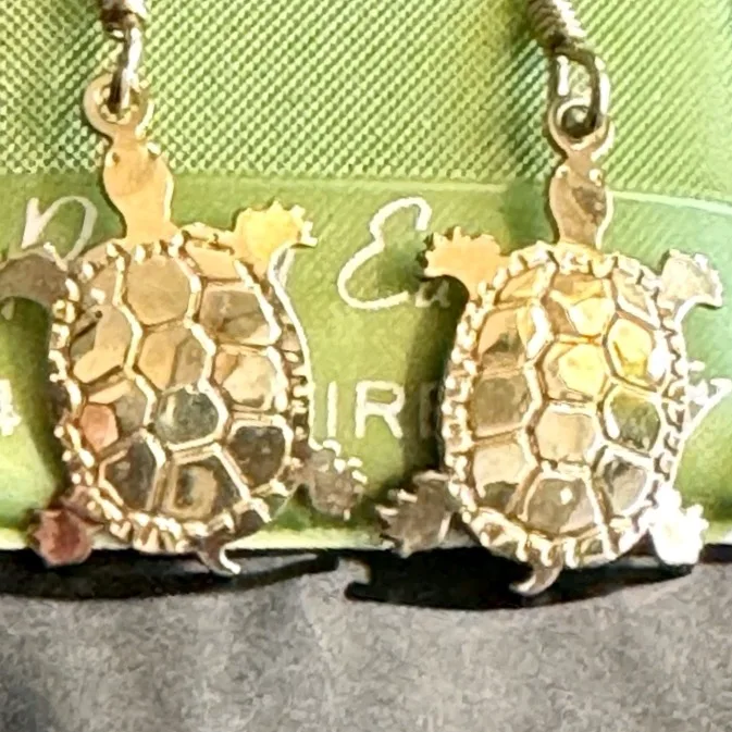 Wild Bryde Box Turtle Earrings, Pin Full-Body, Theme Overlap, Hallmark Photo - Unofficial Wild Bryde Collector's Guide